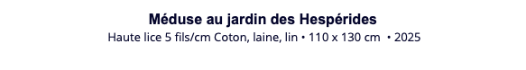 Méduse au jardin des Hespérides Haute lice 5 fils/cm Coton, laine, lin • 110 x 130 cm • 2025