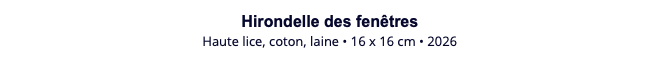 Hirondelle des fenêtres Haute lice, coton, laine • 16 x 16 cm • 2026