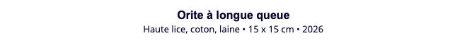 Orite à longue queue Haute lice, coton, laine • 15 x 15 cm • 2026